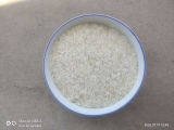�ֳ��ױ�ϸ���׶�60%Ӫ��Ϊ�������ʧ��